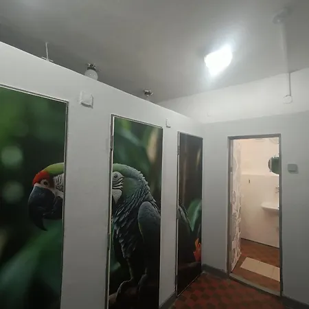 Na Borovej Sihoti - Spolocne Wc A Sprchy *